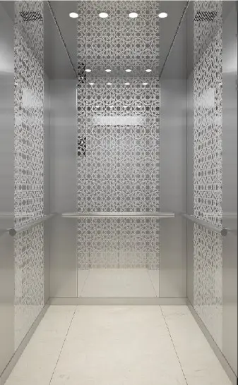 ARL-C012 مصعد فضي ستانليس ستيل مع نقش على كل الجوانب 